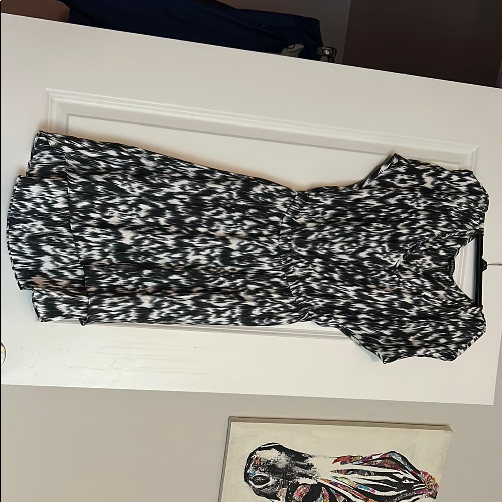 Express Dress - Picture 3 of 5